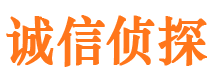 七里河侦探公司